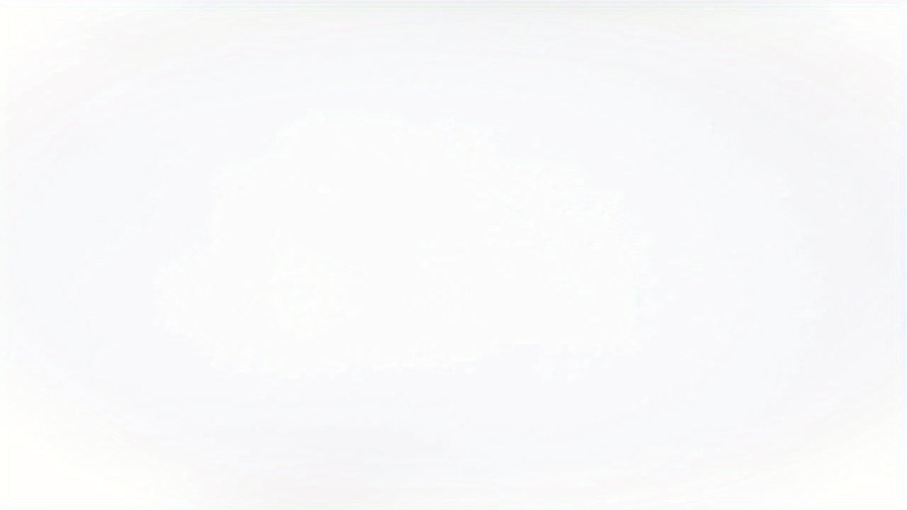 Electronics Accessories Organizer Bag